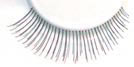 CILS21