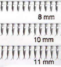 CILS25